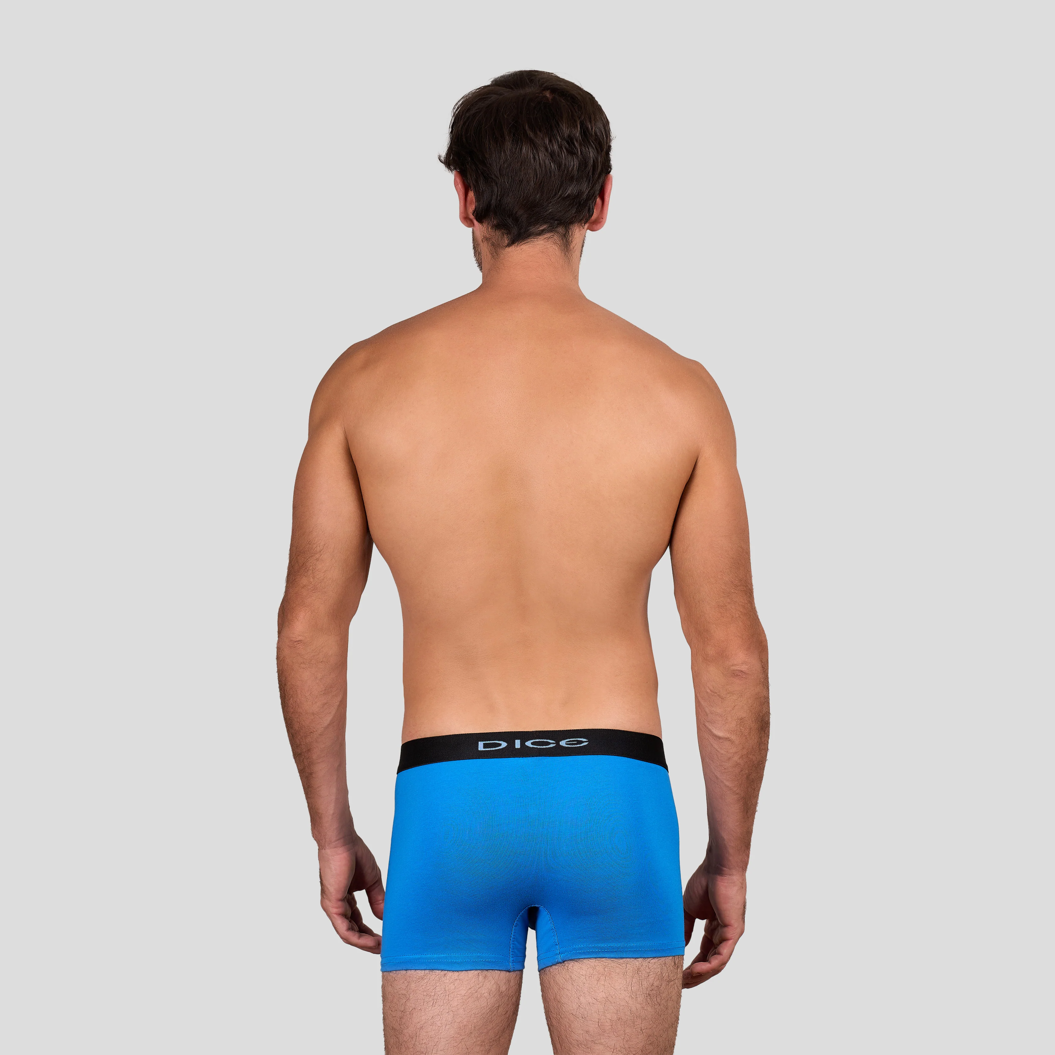 Plain Boxer - Image 2