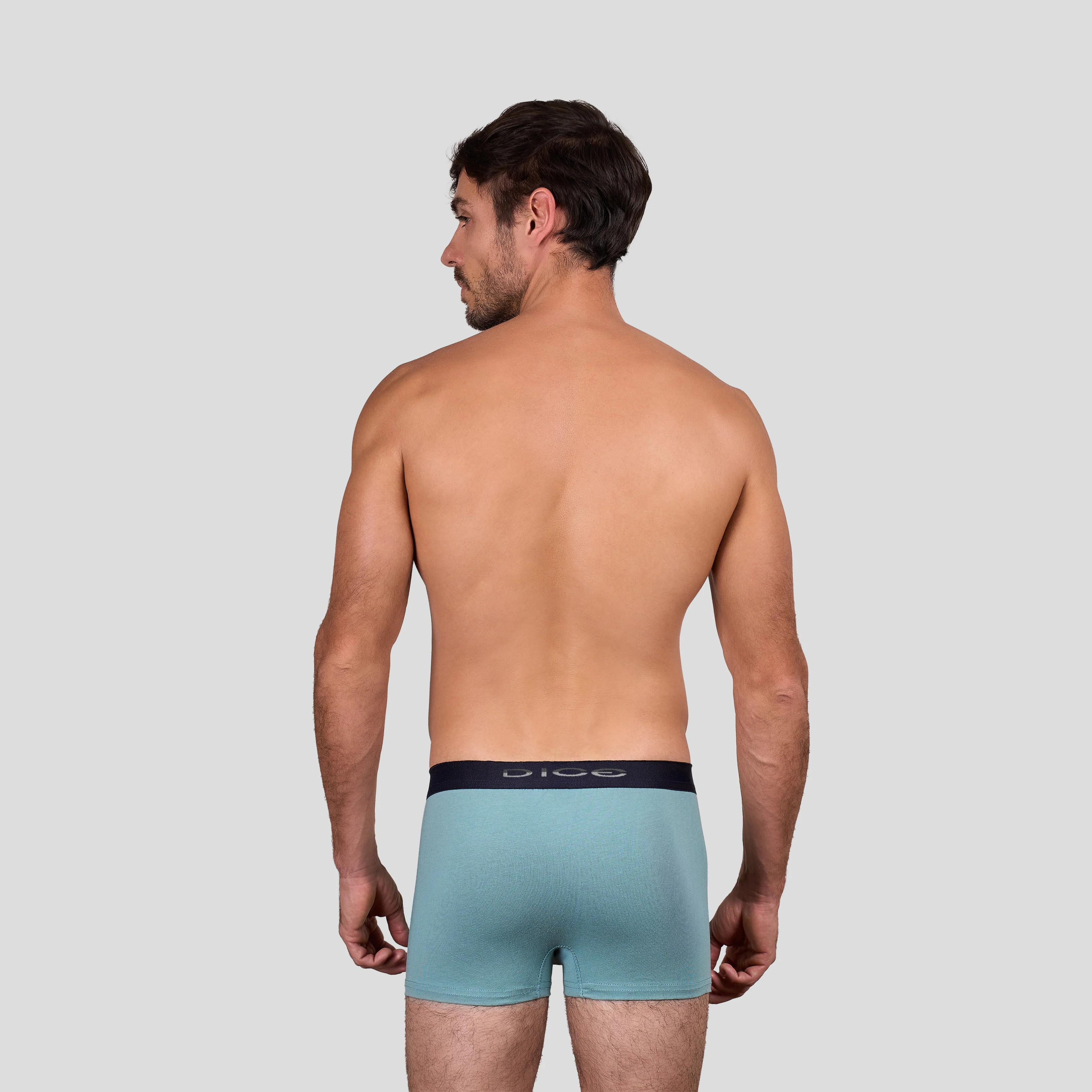 Plain Boxer - Image 29